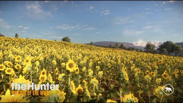 #4 Куатро Колинас|Прохождение на 100% | Охота The Hunter Call of the Wild смотреть онлайн