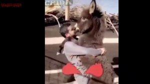 Таджикский Прикол 2020