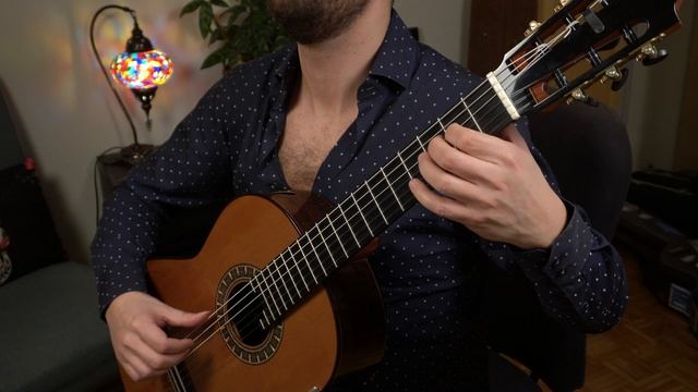 Piazzolla: Invierno Porteño (Tariq Harb, guitar) смотреть онлайн