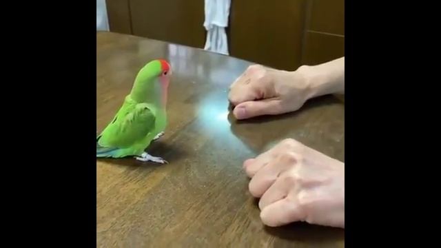 ВЕЧЕРНИЙ смехо-ДРОМ))))))))))))))))))))))))))).mp4 смотреть онлайн