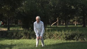 Цигун. Парящий Журавль. Часть 3. Грегор Хмара