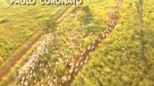 Заставка к сериалу Роковое наследство / O Rei do Gado Opening Credits