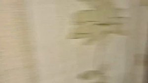 С Сайгачком беда