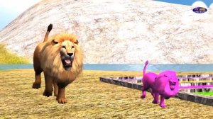 Wrong Kids Colors Wild Animals Matching Game for Toddlers Dinosaur Gorilla Lion Tiger Bear Elephant