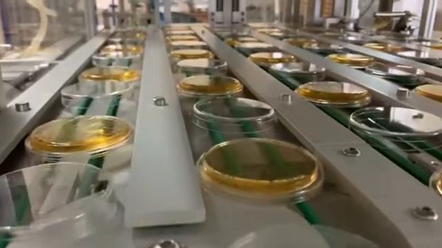 Контактные чашки Петри смотреть онлайн