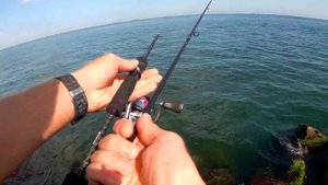 Обзор удилища Golden Catch Wanderer Travel. Морская рыбалка на черном море