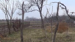 Свидетельство исцеления от сахарного диабета 2 типа
