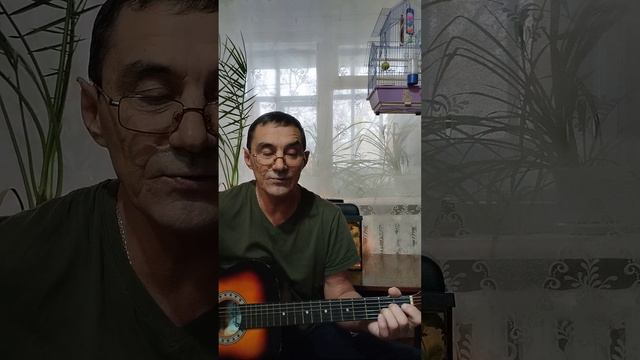 кавер Дорогие мои старики смотреть онлайн