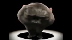 кот поёт пи папа пара па