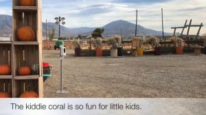 Glen Ray’s Corn Maze & Pumpkin Patch.