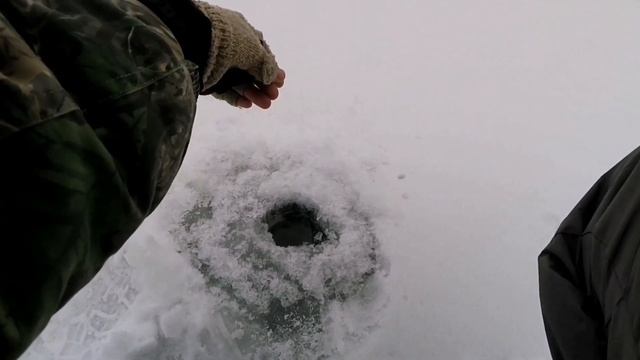 Ловля плотвы на безмотылку в затоне Дона. смотреть онлайн