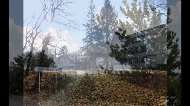 село веселая лопань белгородская область село веселая лопань белгородского района смотреть онлайн