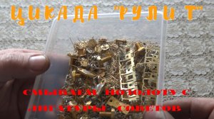 Цикада ''рулит'' Смываем позолоту с лигатуры советов +! ''