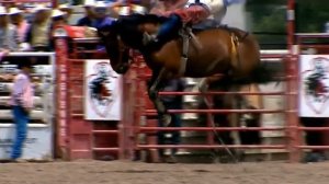 Cheyenne Frontier Days Rodeo Bill Tutor Bareback Contestant