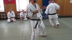 Подсечка. часть2 - подготовка, связки, наработка в кумитэ