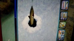 Pro Pilkki 2 большая рыба