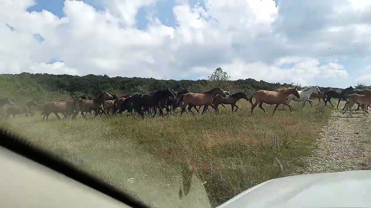 Долгоруковка 2023 смотреть онлайн