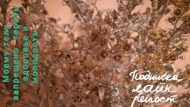 Моему телу запрещено терять здоровье и молодость. Когда оно успело вернуться в свои 20? смотреть онлайн