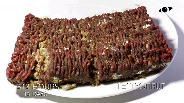 Minced Meat Time-Lapse смотреть онлайн