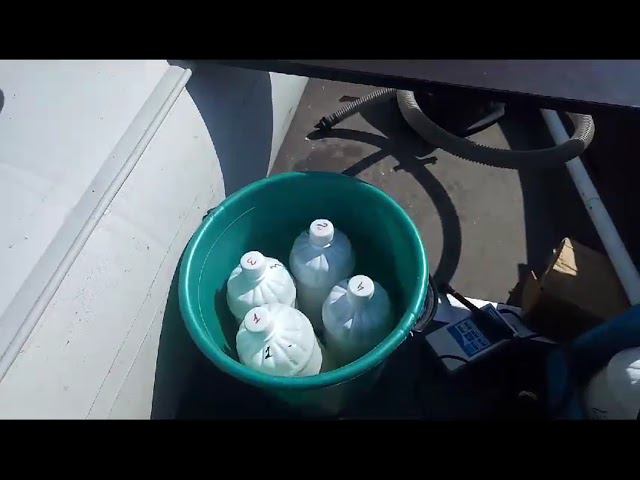 Внесли хлореллу в Биопруд. Мониторинг процессов очистки. смотреть онлайн