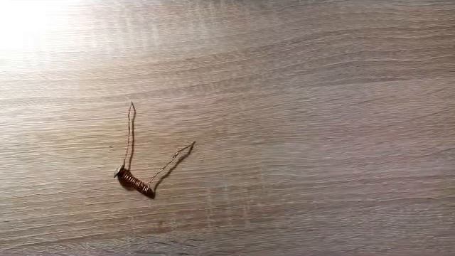 Как сделать электромагнит смотреть онлайн