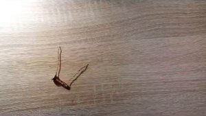 Как сделать электромагнит