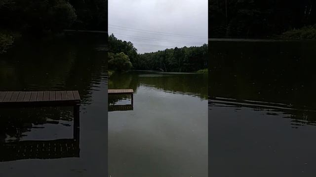 Рыбалка в Балашихе на реке Пехорка.Балаш Свердлов.