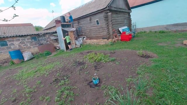 Купили зеленые Яйца породистых кур