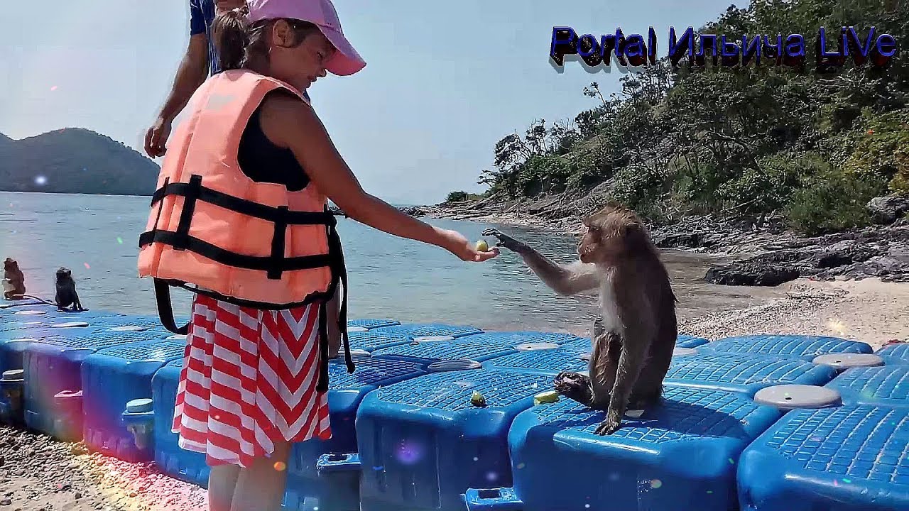 ТАЙЛАНД - ПАТТАЙЯ 2018 - Отдых в PATTAYA PARK BEACH RESORT II #2