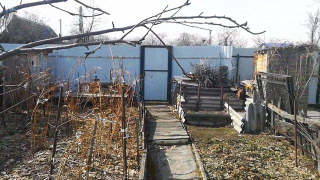 Весной на даче Выпуск 3 / In the spring at the dacha Issue 3 смотреть онлайн