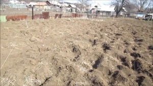 Культивация земли ФРЕЗОЙ на тракторе Т 25 Владимирец! // из Города в Деревню!