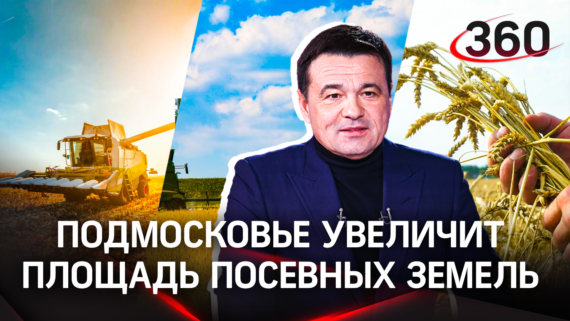 Московская область обеспечит регион продуктами. Для этого бизнесу помогут расширить посевные площади