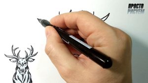 Как нарисовать ОЛЕНЯ, Просто рисуем