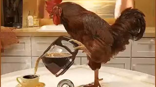 Петушок-золотой гребешок смотреть онлайн