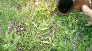 Изготавливаю бензин из накопившейся синтетической нефти