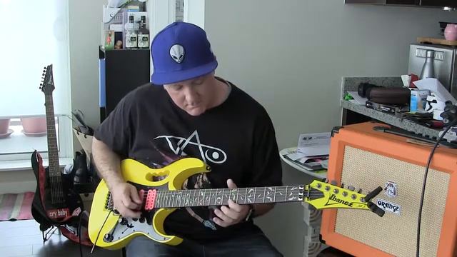 Ibanez Jem Jr Steve Vai Guitar смотреть онлайн