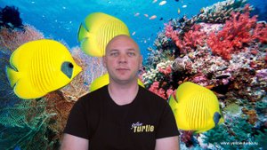 Что нужно для качественной подводной съемки?