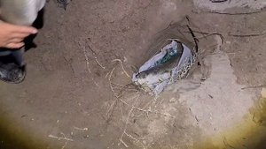 КАК СОХРАНИТЬ РЫБУ В УСЛОВИЯХ ЖАРЫ