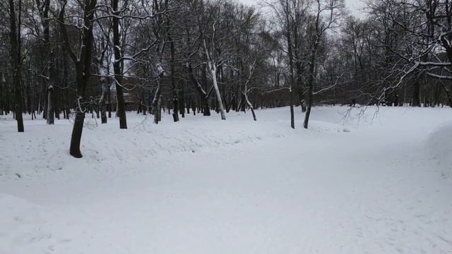 Драконы летают , Таро гадают . Скоро весна ! Толи ещё будет ой ой ой смотреть онлайн