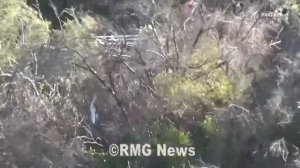 LA County FD airlifts horse to safety after it fell into thick brush in Calabasas, California.