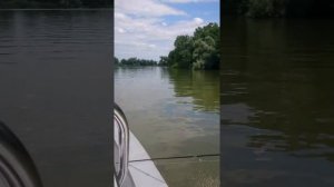 днестр , вельбот 42 , mercury 20, wellboat
