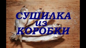 Как сделать сушилку для рыбы дома (самый простой способ).