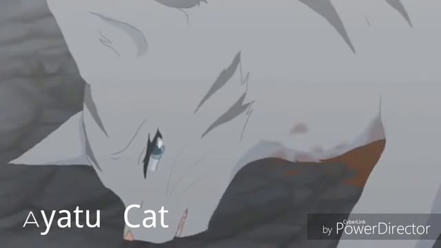 КВ| ~ { Warriors Cats } ~ Крутобок и Серебрянка.  Давай уходи . . .