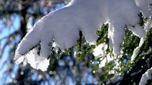 Первое Апреля