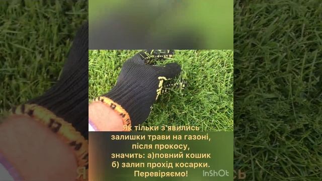 Технология покоса газона, лайфхак по стрижке газона, как правильно косить газон, уход за газоном