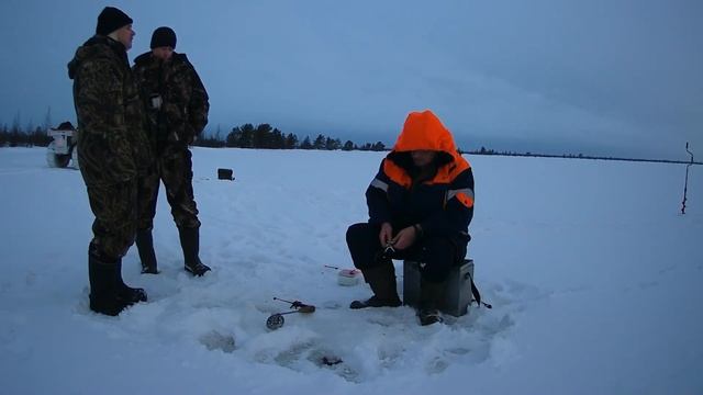 Рыбалка на лесном озере среди болот. Окунь мелковат, но мы не за рыбой и ездим))) смотреть онлайн
