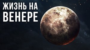 Следы жизни на Венере можно отыскать? Новое предположение геолога из Лондонского университета