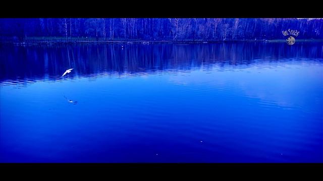 Фредерик  Шопен. Полонез ля-бемоль мажор, Op.53