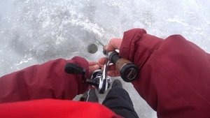 Как поймать судака на ратлины, Финский залив.