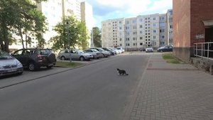 ХОЛОДНОЕ ЛЕТО ЛИТВЫ. ПРОГУЛКА ПО ВИСАГИНАСУ